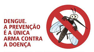 Mosquito da Dengue