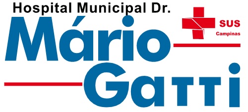 Mario Gatti